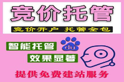 某某sem代运营公司成功案例：提高转化率